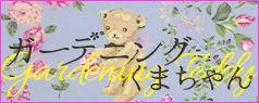 teddy-banner