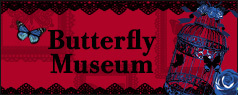 【2023年3月～4月頃入荷】Butterfly Museum