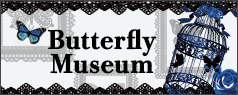 2024 Butterfly Museum