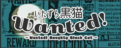 【2024年11月～12月頃入荷】いたずら黒猫Wanted！